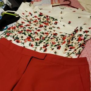 Beautiful floral sweater,  matching dress pants.